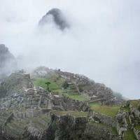 Portrait of Mr. Krisna